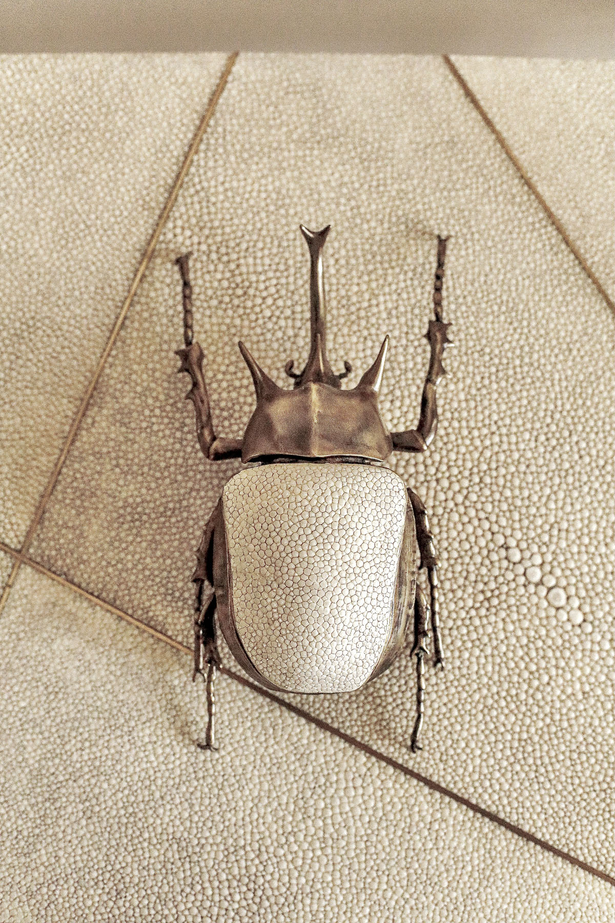 Шкатулка "Жук-олень", латунь, кожа ската, Ginger Brown