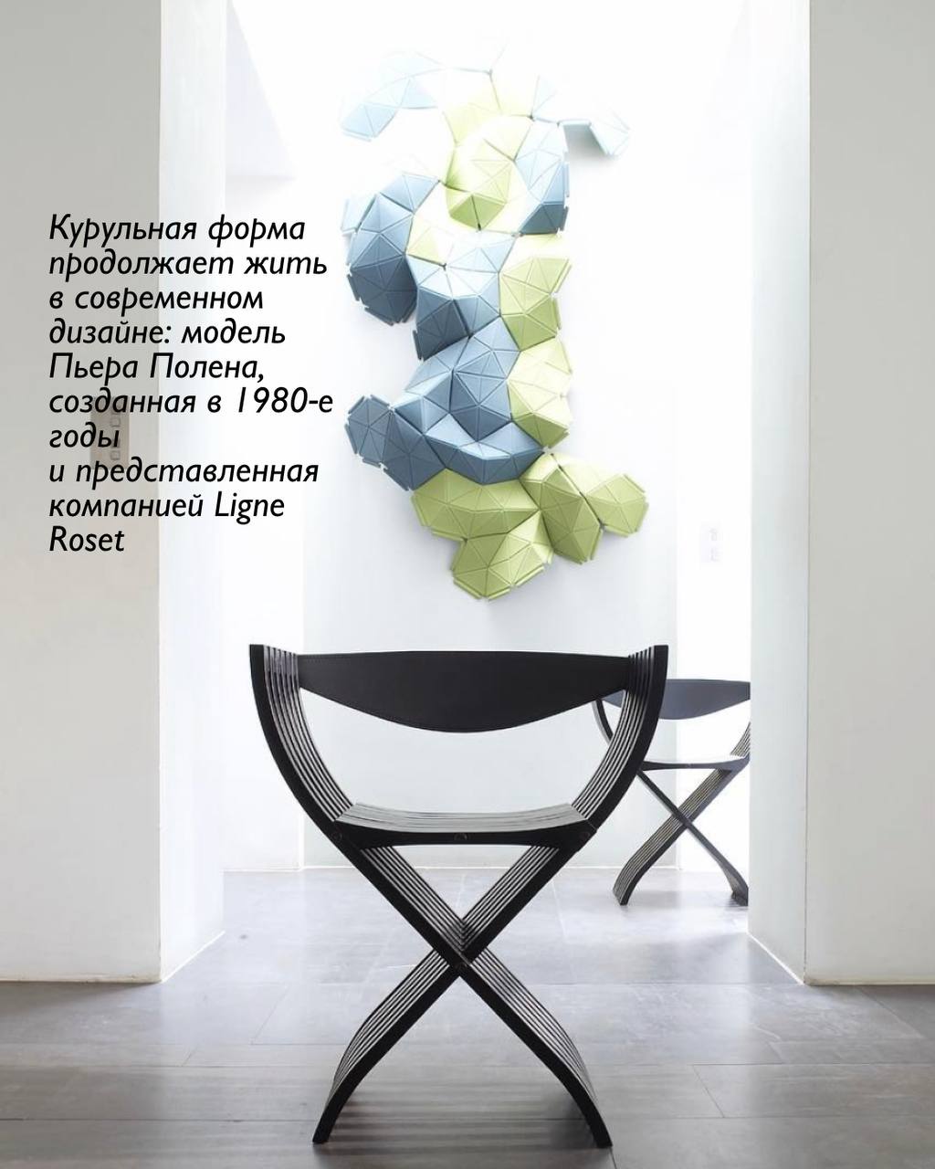 Сиденье власти: курульная форма и её происхождение 