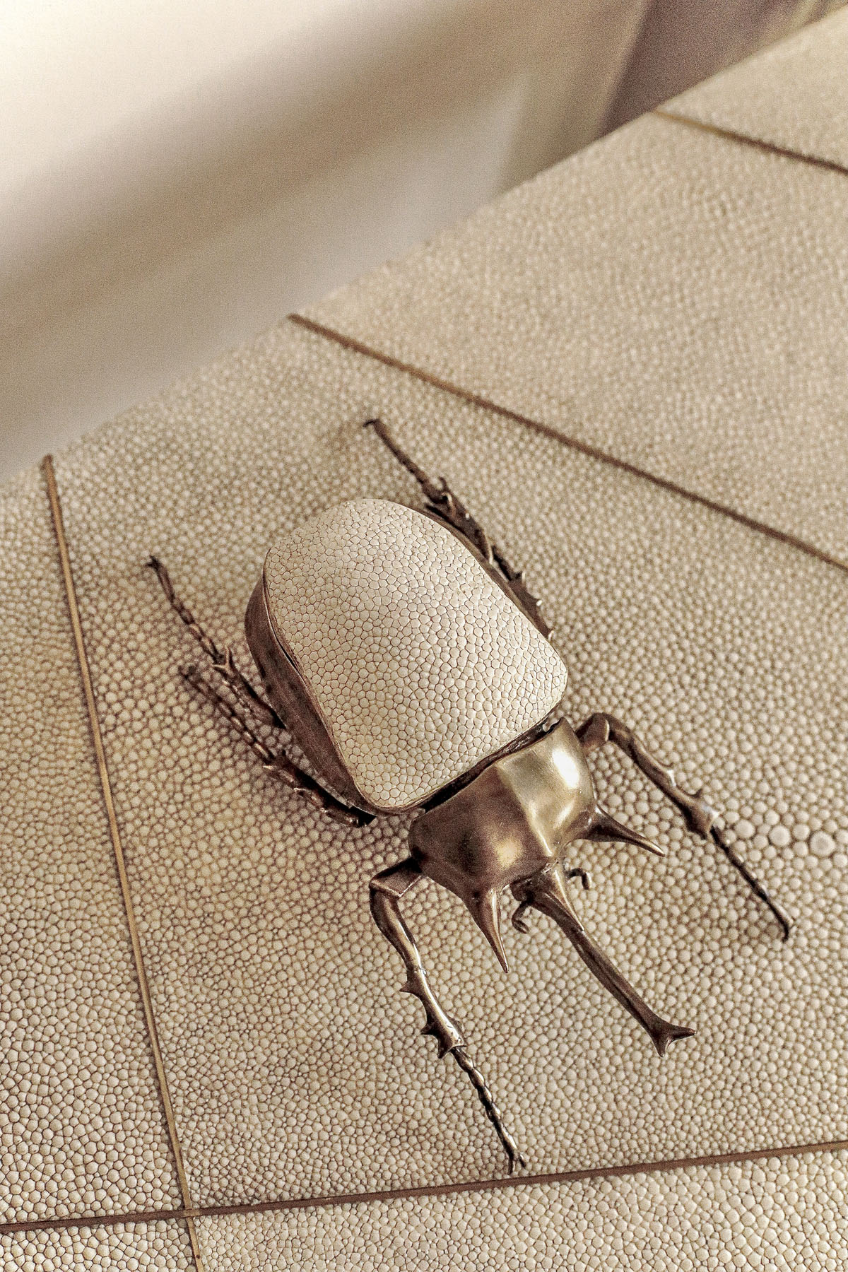 Шкатулка "Жук-олень", латунь, кожа ската, Ginger Brown