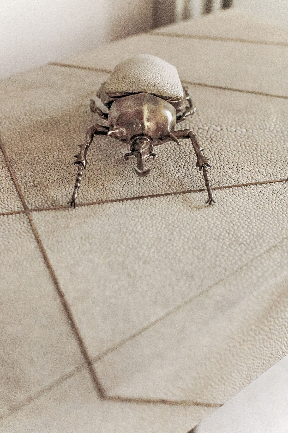 Шкатулка "Жук-олень", латунь, кожа ската, Ginger Brown