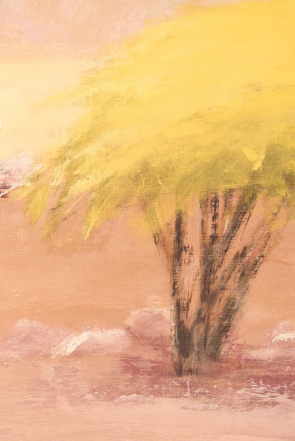 Картина «Пустыня Неггев. Акация», Татьяна Ян, 2008 год.