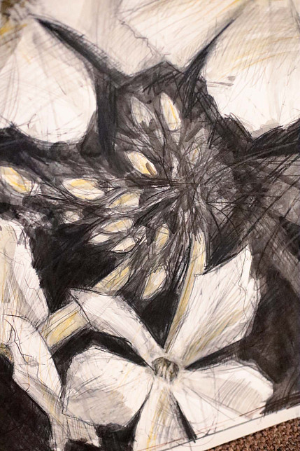 Картина «Белый флокс» из цикла  «Большая графика», Татьяна Ян, 2024 год.