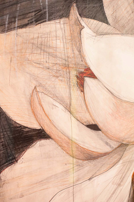 Картина «Магнолия - II» из цикла  «Большая графика», Татьяна Ян, 2024 год.