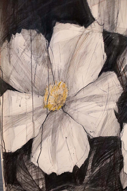 Картина «Роза ругоза» из цикла  «Большая графика», Татьяна Ян, 2024 год.